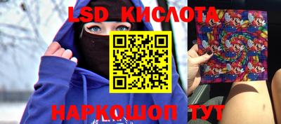 спиды Новозыбков