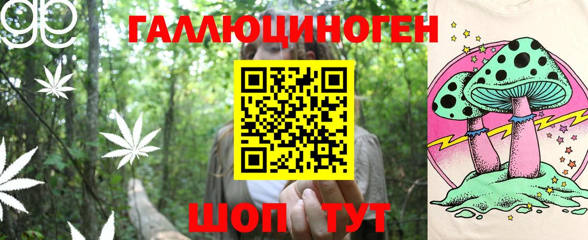 Заинск  Галлюциногенные грибы Cubensis  Вход с VPN 