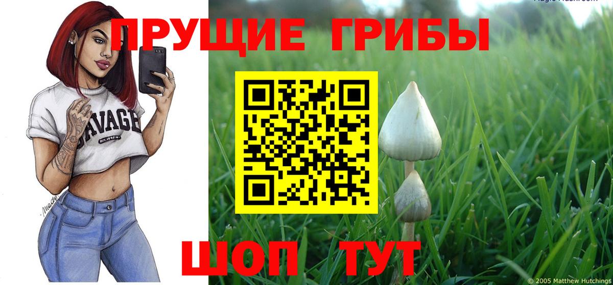 Псилоцибиновые грибы прущие грибы Заинск